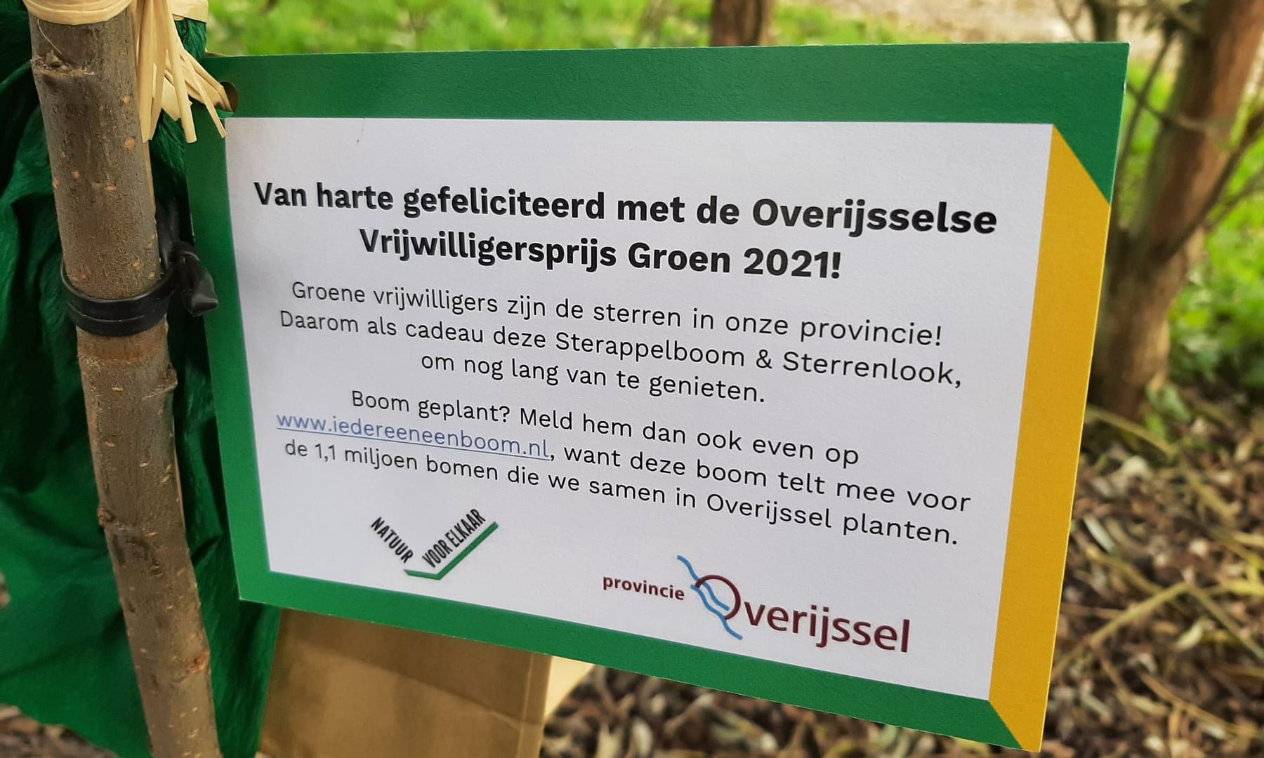 Overijsselse Vrijwilligersprijs Groen 2021